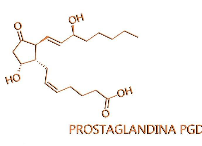La scoperta della Prostaglandina PGD2 ed il ruolo nella Calvizie