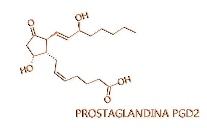 La scoperta della Prostaglandina PGD2 ed il ruolo nella Calvizie